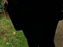 Đánh rắm phim sex x vn vào miệng